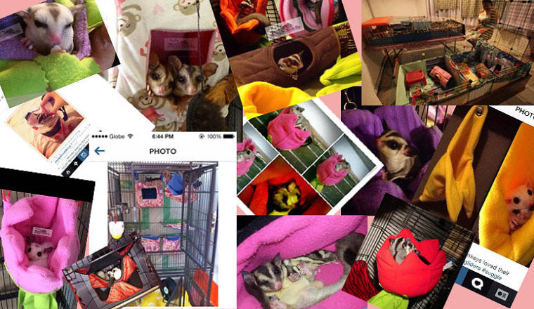 Our Happy Customers Around the World