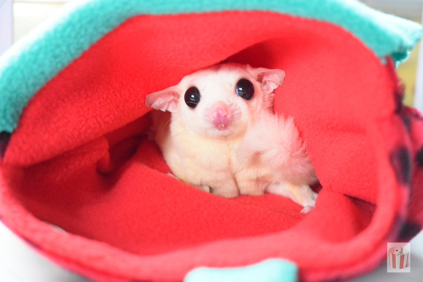 Sugar Glider and Small Pets Strawberry Pouch