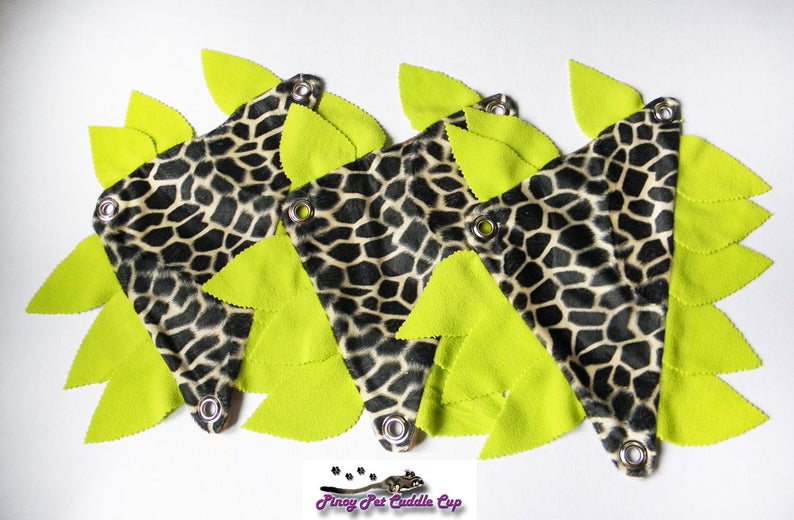 Sugar Glider and Small Pets Jungle Cage Set