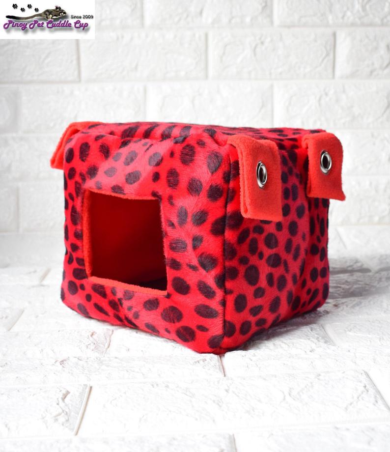 Sugar Glider and Small Pets Cube