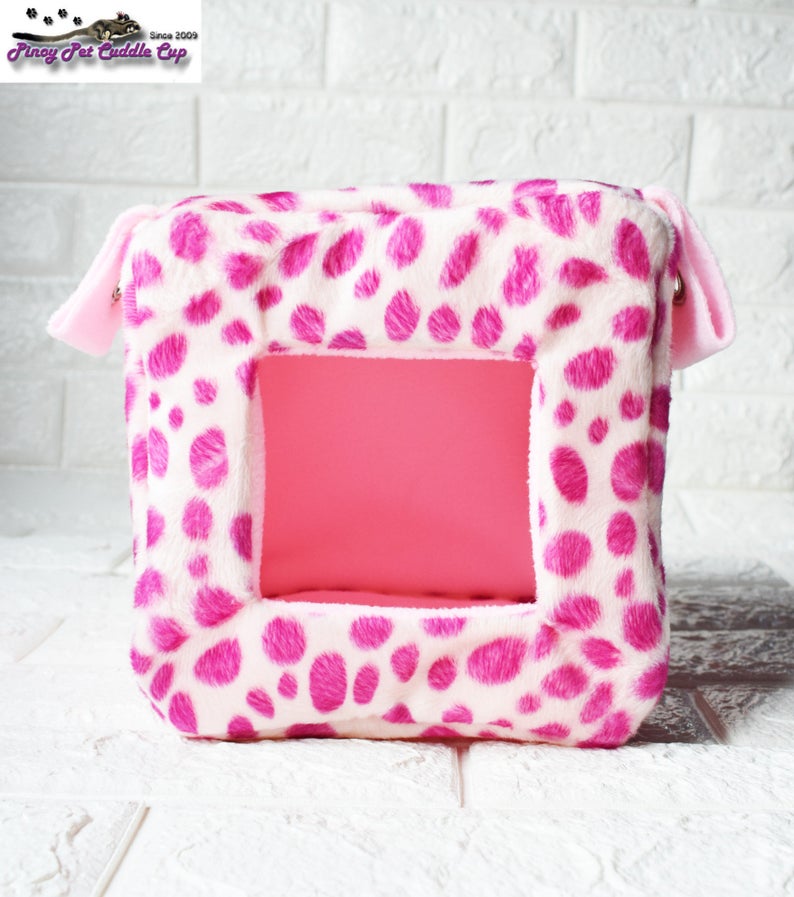 Sugar Glider and Small Pets Cube