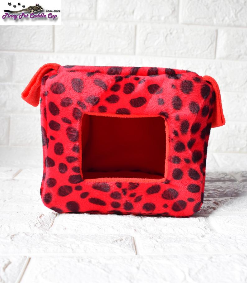 Sugar Glider and Small Pets Cube