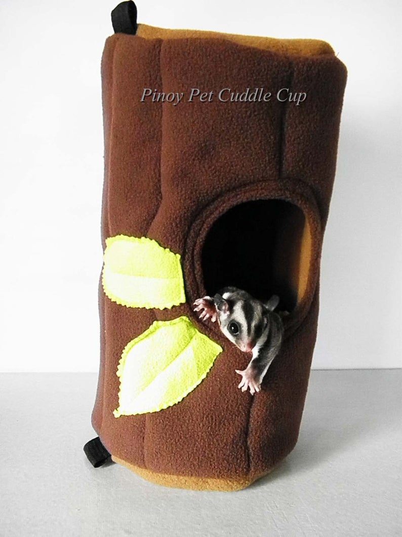 Sugar Glider Tree House
