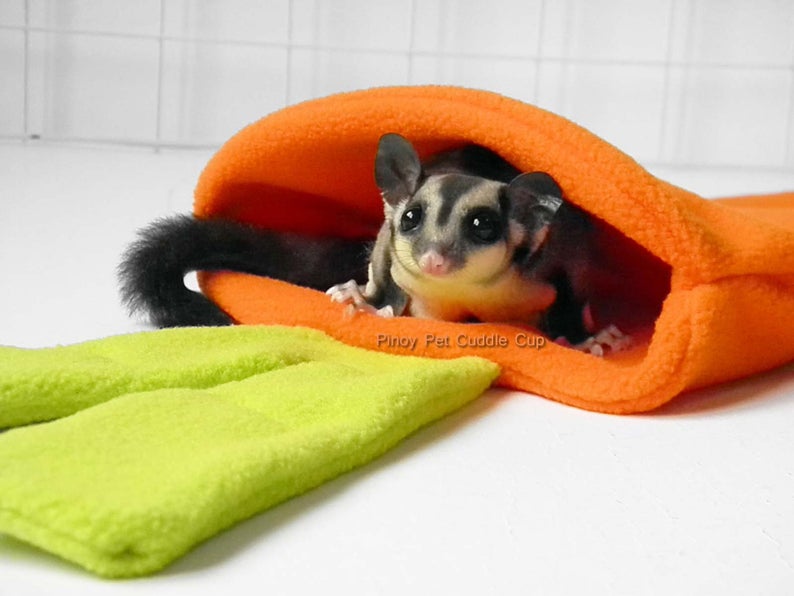 Sugar Glider and Small Pets Carrot Pouch