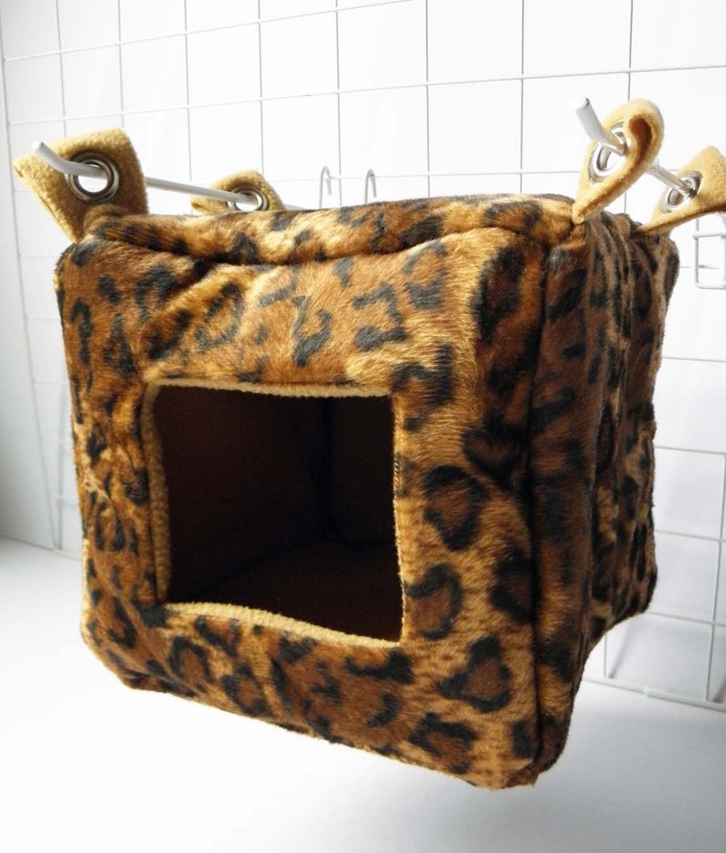 Sugar Glider and Small Pets Cube