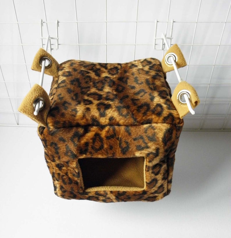 Sugar Glider and Small Pets Cube