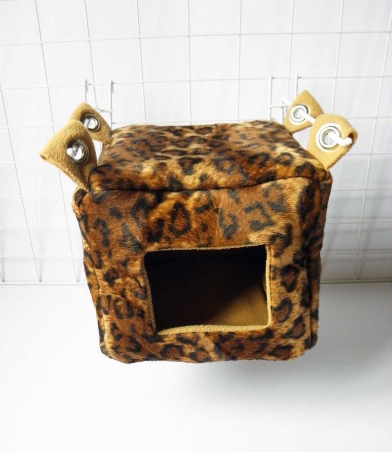 Sugar Glider and Small Pets Cube