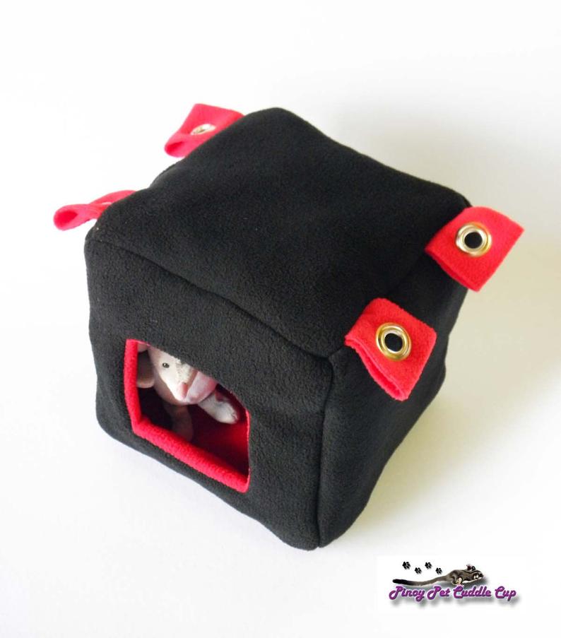 Sugar Glider and Small Pets Cube