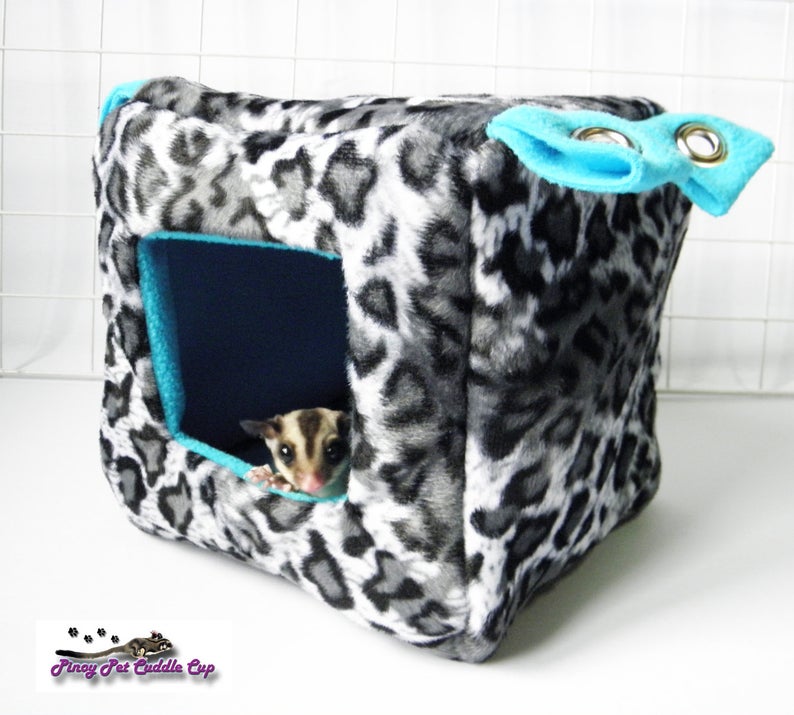 Sugar Glider and Small Pets Cube
