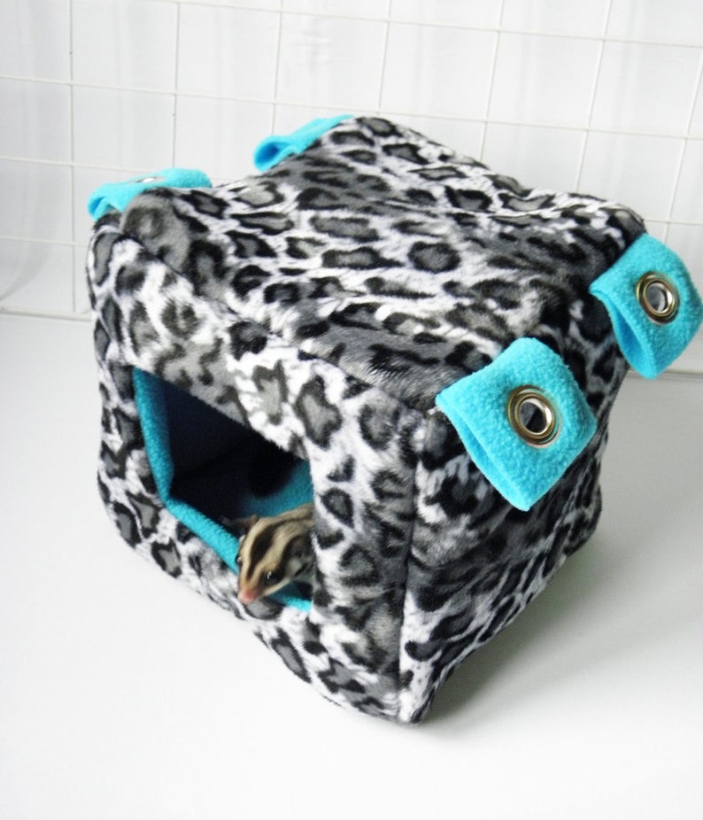 Sugar Glider and Small Pets Cube