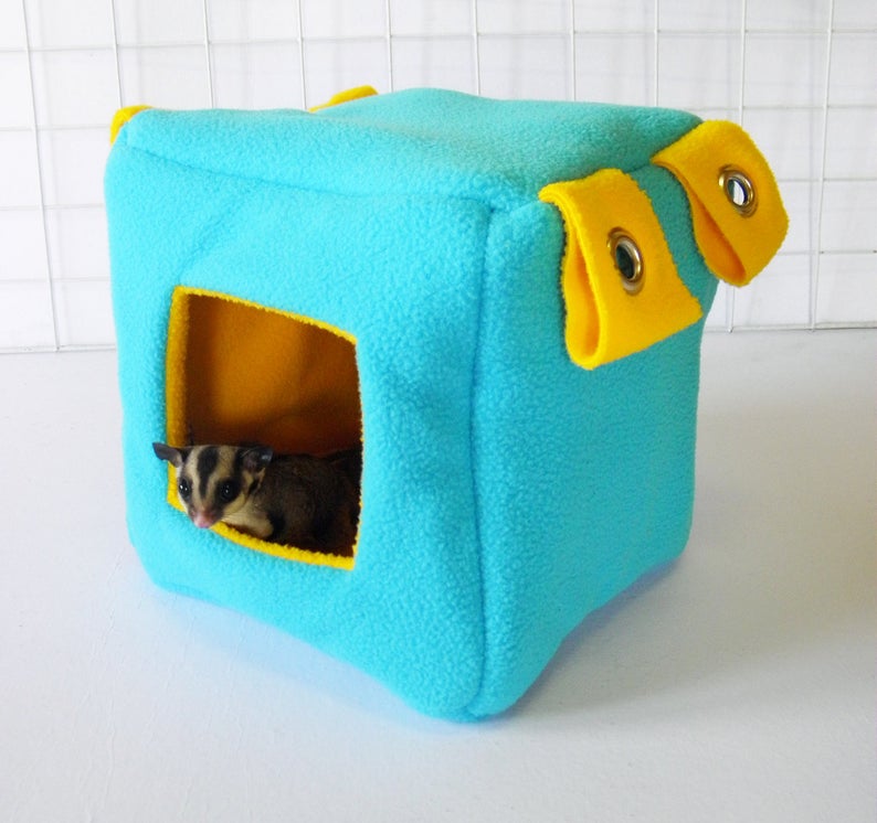 Sugar Glider and Small Pets Cube