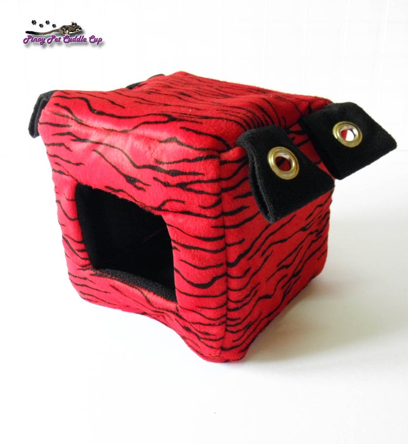 Sugar Glider and Small Pets Cube