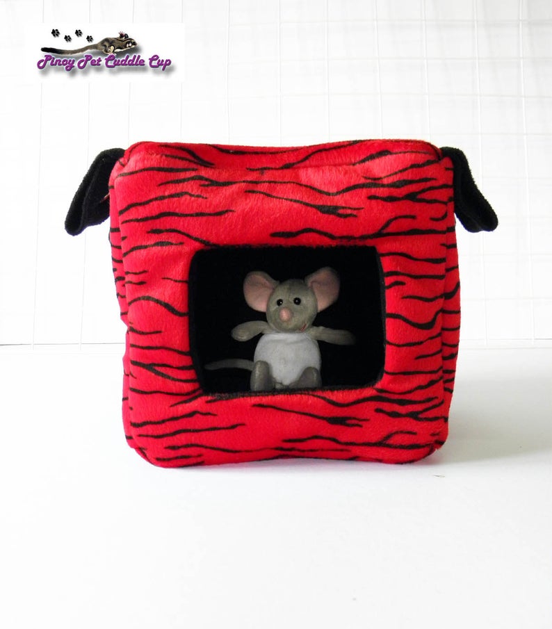 Sugar Glider and Small Pets Cube
