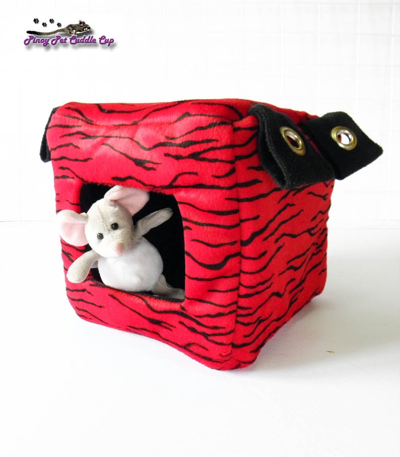 Sugar Glider and Small Pets Cube