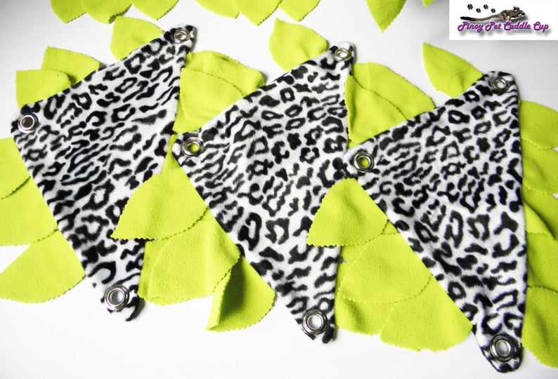 Sugar Glider and Small Pets Jungle Cage Set