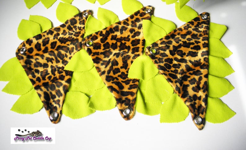 Sugar Glider and Small Pets Jungle Cage Set