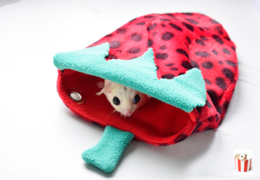 Sugar Glider and Small Pets Strawberry Pouch