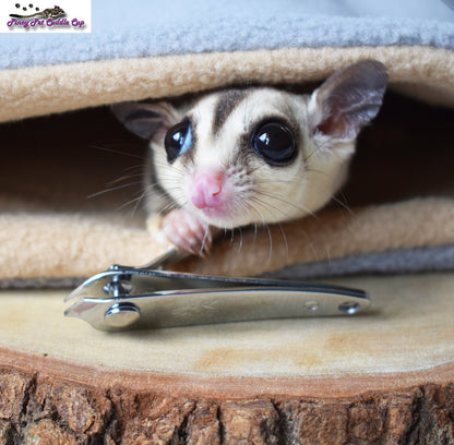 Sugar Glider and Small Pets Nail Trimming Kit