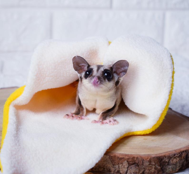 Sugar Glider and Small Pets Banana Pouch