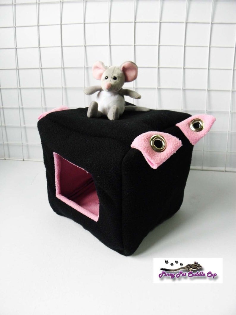 Sugar Glider and Small Pets Cube