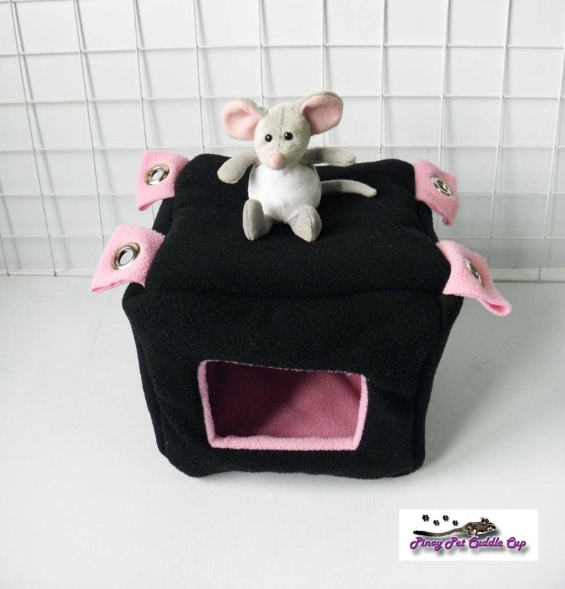 Sugar Glider and Small Pets Cube