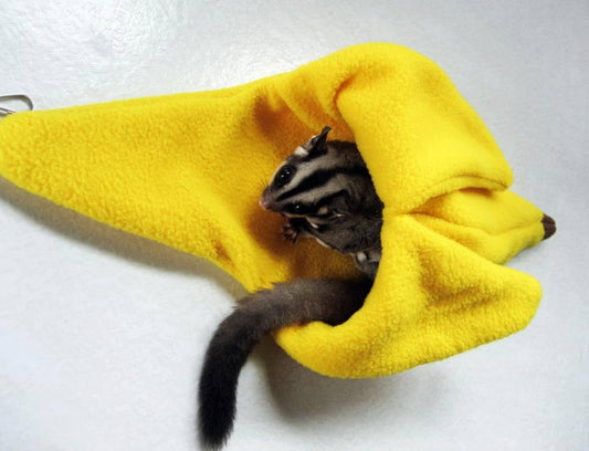 Sugar Glider and Small Pets Yellow Banana Pouch